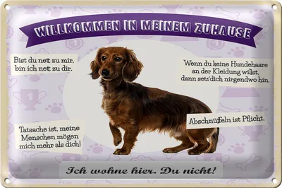 Produktbild von Blechschild Spruch 30x20cm Tiere Dackel willkommen wohne hier