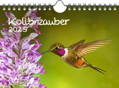 Produktbild von Kolibrizauber DIN A5 Kalender für 2025 Vogel - Seelenzauber