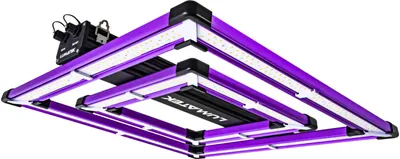 A square-shaped LED grow light with purple frame and white LED strips, suspended in the air against a white background.