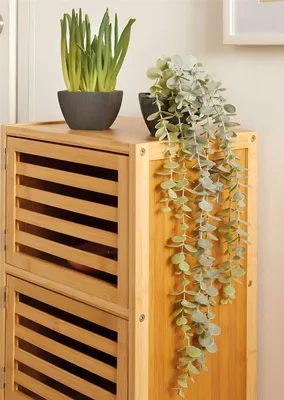 Produktbild von 2x Kunstpflanze "Grün" künstliche Pflanzen mit Topf, wie echt, Hängepflanze, kleine Zimmerpflanzen