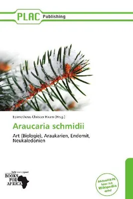 Produktbild von Araucaria schmidii