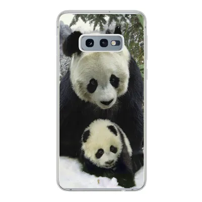 Produktbild von MuchoWow® Handyhülle Schutzhülle Hülle für Samsung Galaxy S10e Panda - Jungtier - Schnee Silikon Softcase Handy Hülle - Handy
