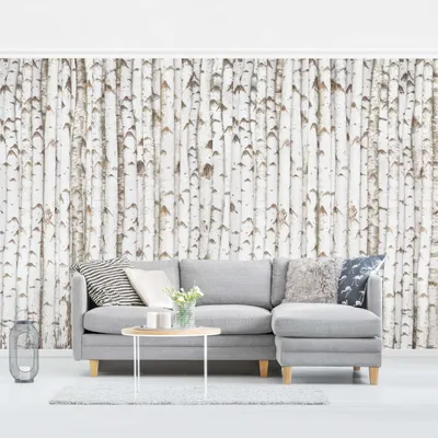 Produktbild von Fototapete Wald - Vliestapete - Bildtapete UV-beständig Design weiss Holzoptik Wandtapete geruchsfrei