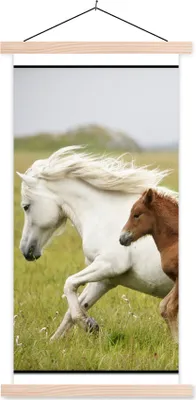 Produktbild von MuchoWow® Textilposter Pferde - Tiere - Gras 60x120 cm mit holzfarbenen Rahmen - Holz