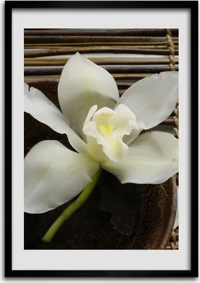 Produktbild von Bild - Bilderrahmen - Foto - 70 cm x 100 cm - MDF - Rahmen - Wandkunst - Orchidee