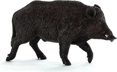 Produktbild von Besttoy Woodland - Wildschwein - Spielfigur 387160