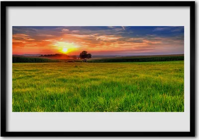 Produktbild von Bild 70x50 MDF-Rahmen Wandkunst Sun Meadow Nature