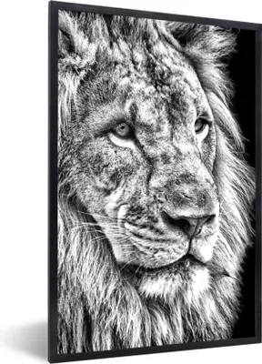 Produktbild von MuchoWow® Gerahmtes Poster Porträt - Löwe - Schwarz und weiß 60x90 cm - Poster mit Schwarzem Bilderrahmen Wandposter Rahmen Foto Bilder - Kunst