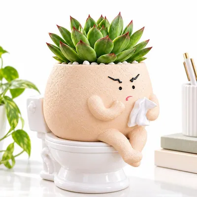 Produktbild von Lustiger Blumentopf mit Gesicht, Toiletten-Design, selbstbewässernder Sukkulententopf, Pflanztopf aus Harz, für Sukkulenten, Kakteen und Büro