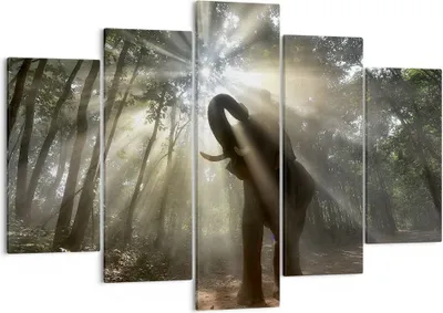 Produktbild von Bild auf Leinwand - Leinwandbild - Elefant Dschungel  - 150x100cm - Wand Bild - Wanddeko - Leinwanddruck - Bilder - Kunstdruck - Wanddekoration - Leinwand bilder - Wandkunst - EA150x100-3835