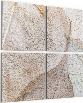 Produktbild von DEQORI Glasbild Echtglas 4x50x50 cm 'Zarte Blattstrukturen' Wandbilder XXL groß