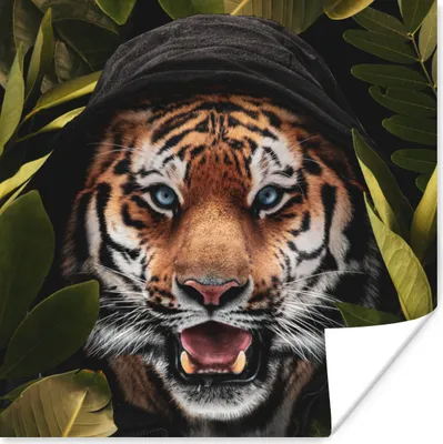 Produktbild von MuchoWow® Poster Tiger - Dschungel - Blätter 30x30 cm - Wandposter - Printing