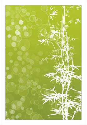 Produktbild von Wallario Wandbild Bambusmuster grün-weiß, Größe: 61 x 91,5 cm, Poster mit rahmenlosen Bildhalter