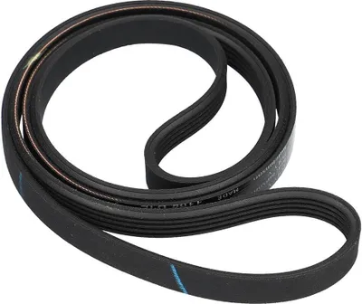 A black serpentine belt is coiled on a white background.