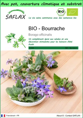Image de SAFLAX Garden to go -- Bourrache - 40 graines - Borago