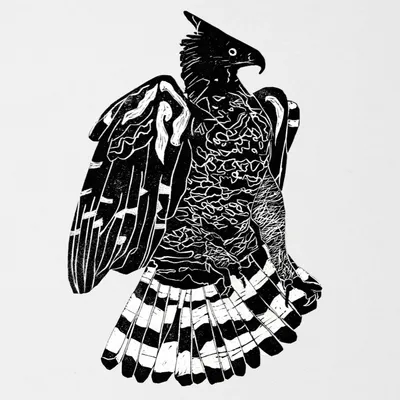 Produktbild von Crowned Eagle