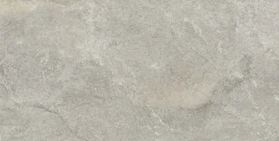 Produktbild von Bodenfliese Feinsteinzeug Roccia 31 x 62 cm grey