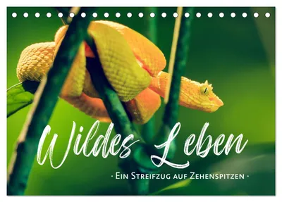 Produktbild von Wildes Leben - Ein Streifzug auf Zehenspitzen (Tischkalender 2027 DIN A5 quer), CALVENDO Monatskalender