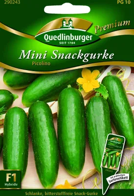 Produktbild von Quedlinburger Saatgut - Mini-Snackgurken Picolino - Samen - 290243