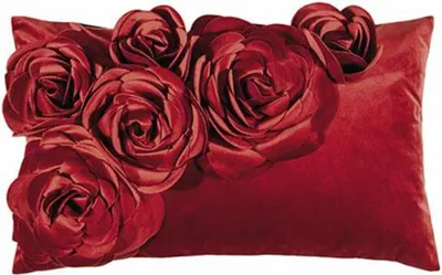 Produktbild von PAD Floral, Rot, Polyester, Einfarbig, Maschinenwäsche, 30 °C, 30 x 50 cm