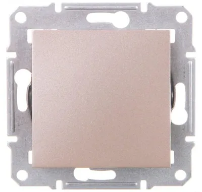 Imagen del producto de Interruptor ASFORA de una vía, sin marco, color marrón, modelo EPH0100169
