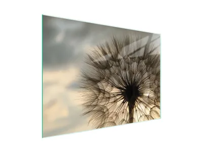Image de Planche à découper en verre 40x30 Fleur