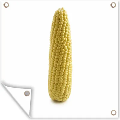Produktbild von MuchoWow®