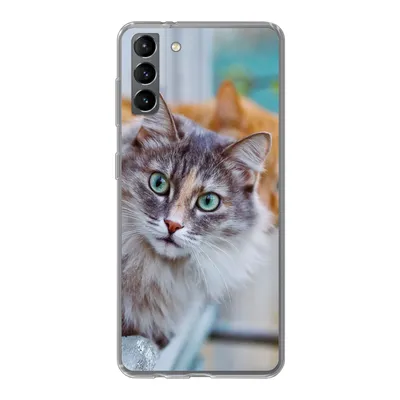 Produktbild von MuchoWow® Handyhülle Schutzhülle Hülle für Samsung Galaxy S21 Plus Katze - Fenster - Katzen Silikon Softcase Handy Hülle - Handy-Tasche