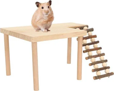 Produktbild von Holzplattform Kletterleiter Spielzeug für Käfigzubehör für Nagetiere