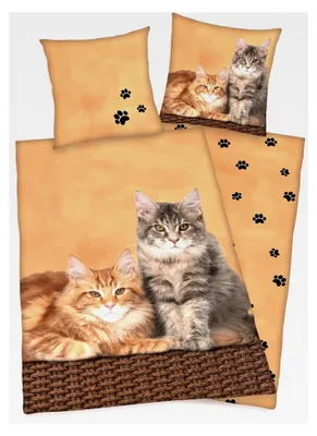 Produktbild von Wende Bettwäsche Set mit Katzenmotiv 135 x 200 cm