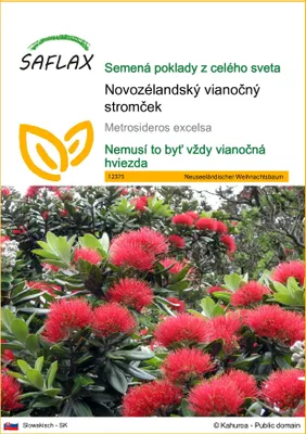 Obrázok produktu pre SAFLAX - Novozélandský vianočný stromček - Metrosideros excelsa - 300 Semená