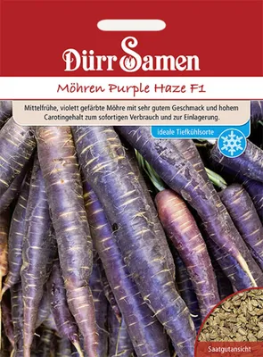 Produktbild von Dürr-Samen - Möhren Purple Haze F1 - Saatgut - 0991