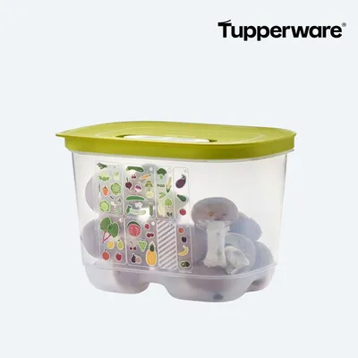 Produktbild von Tupperware KlimaOase 1,8 l hoch