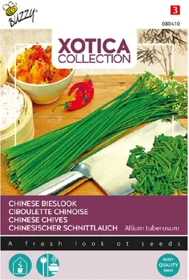 Produktbild von Buzzy Xotica Chinesischer Schnittlauch Samen - Ca. 3 gr | Buzzy_080410
