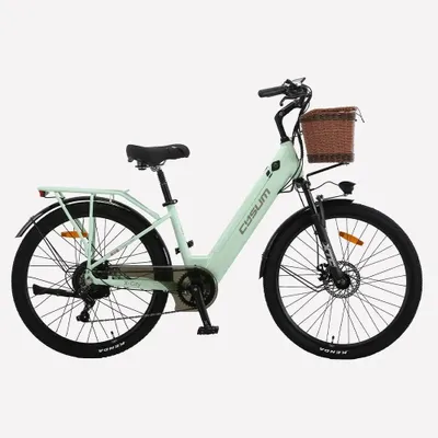 Immagine prodotto di X-City - E-bike 250 W - Batteria al litio da 48 V - Autonomia 31–60 km - Ruote da 66 cm - A due posti - Velocità massima 25 km/h - Verde
