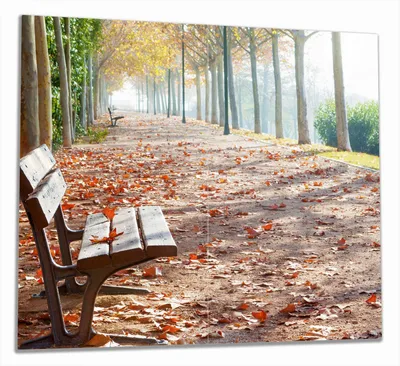 Produktbild von Wallario Herdabdeckplatte aus Glas, Größe 60 x 52 cm 2-teilig, Motiv Einsame Parkbank an einer Allee - Herbststimmung