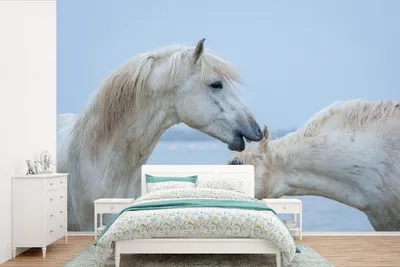 Produktbild von MuchoWow® Fototapete für Wohnzimmer oder Schlafzimmer Wandtapete Vinyl Motivtapete Pferd flüstert einem anderen Pferd in der Camargue etwas zu - 600x400 cm - Vinyltapeten