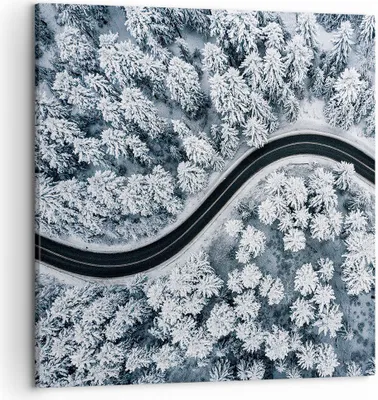 Produktbild von Bild auf Leinwand - Leinwandbild - Einteilig - Wald Winter Straße - 50x50cm - Wand Bild - Wanddeko - Wandbilder - Leinwanddruck - Bilder - Wanddekoration - Leinwand bilder - Wandbild - AC50x50-5010