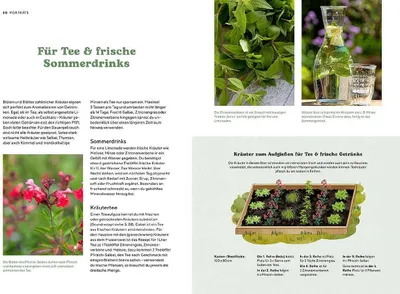 Obrázek produktu pro Kräutergarten