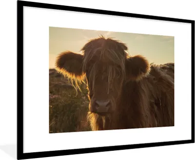 Produktbild von MuchoWow® Gerahmtes Poster Schottischer Highlander - Sonnenuntergang - Gras 90x60 cm - Poster mit Schwarzem Bilderrahmen Wandposter Rahmen Foto Bilder - Wanddekoration - Fotos