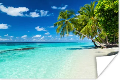 Produktbild von MuchoWow® Poster Palmen - Strand - Meer - Sommer 180x120 cm - Fotoplakat