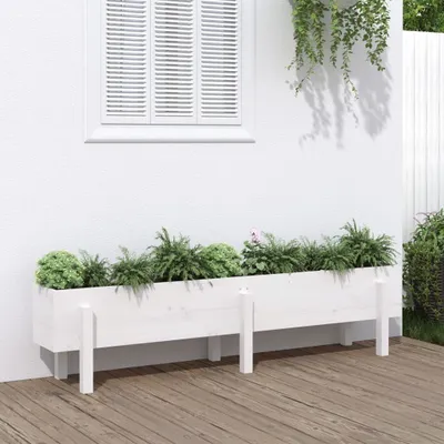 Image de Maison Exclusive - Potager surélevé blanc 160x30x38 cm Bois massif Pin