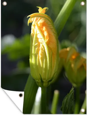 Produktbild von MuchoWow®