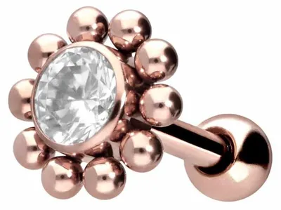 Produktbild von Ohrpiercing Chirurgenstahl Ohrpiercing KRISTALL + KUGELKREIS
