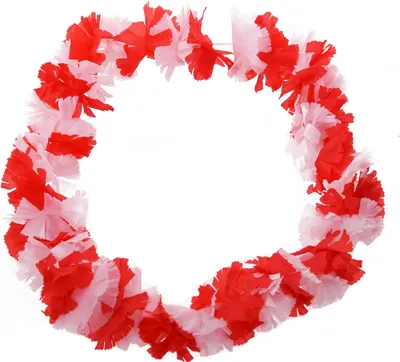Produktbild von Hawaii-Kette (rote & weiße Blüten)