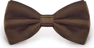 Produktbild von Fliege Braun Größe verstellbar aus Polyester einfarbig uni schmale 12 cm