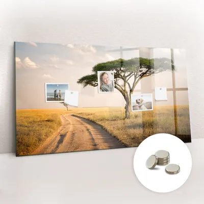 Imagen del producto de Pizarra magnética de pared, con superficie de vidrio y diseño arqueado. Incluye 5 imanes. Dimensiones: 120x60 cm. Diseño: paisaje africano