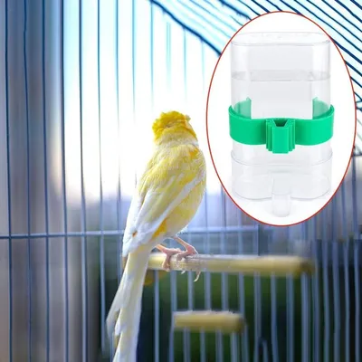 Automatischer Wasserspender für kleine Vögel - Set von 2