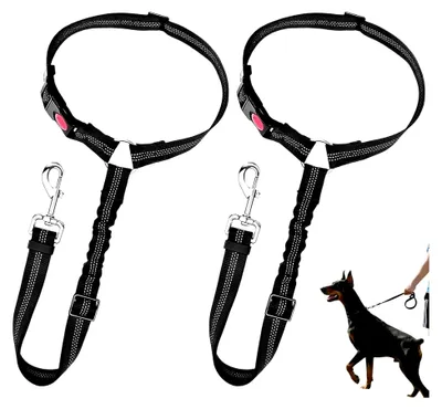 Produktbild von 2er Set Hundegurt für das Auto mit Kopfstützenbefestigung, verstellbarer Hundegurt für die Rückbank, Sicherheitsgurt für Hunde mit elastischem Riemen für kleine und mittelgroße Hunde