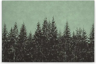 Produktbild von Leinwandbild Bäume 60 x 90 cm - Wandbild Wald Grün Schwarz Natur - Keilrahmen Wohnzimmerdeko Wanddeko Wandgemälde